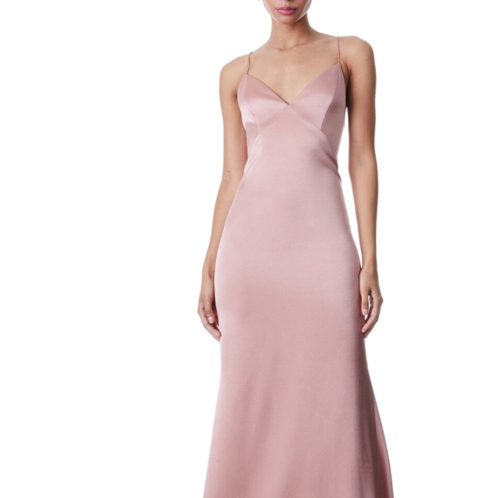 Alice and Olivia  Julietta Pleat Back Slip Dress